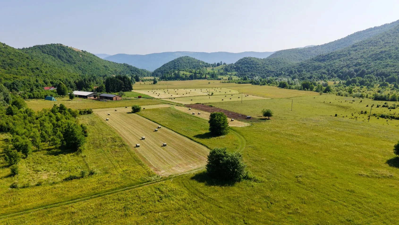 Ekološki uzgoj Salers goveda u srcu Like