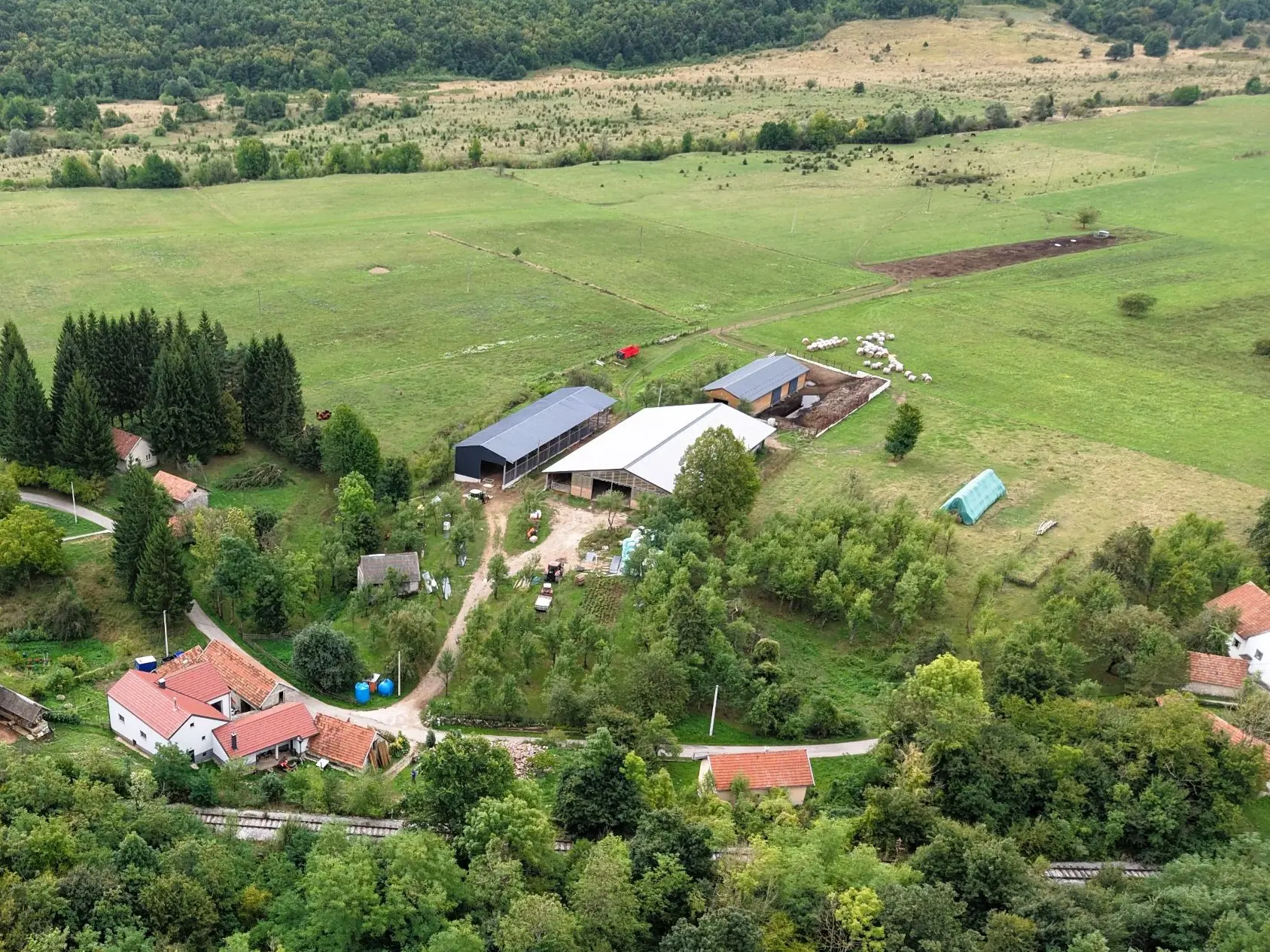 OPG Tankosić – farma iz zraka