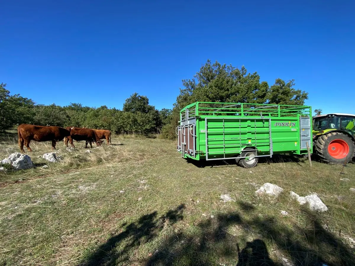 Jesenska priprema stada za zimu