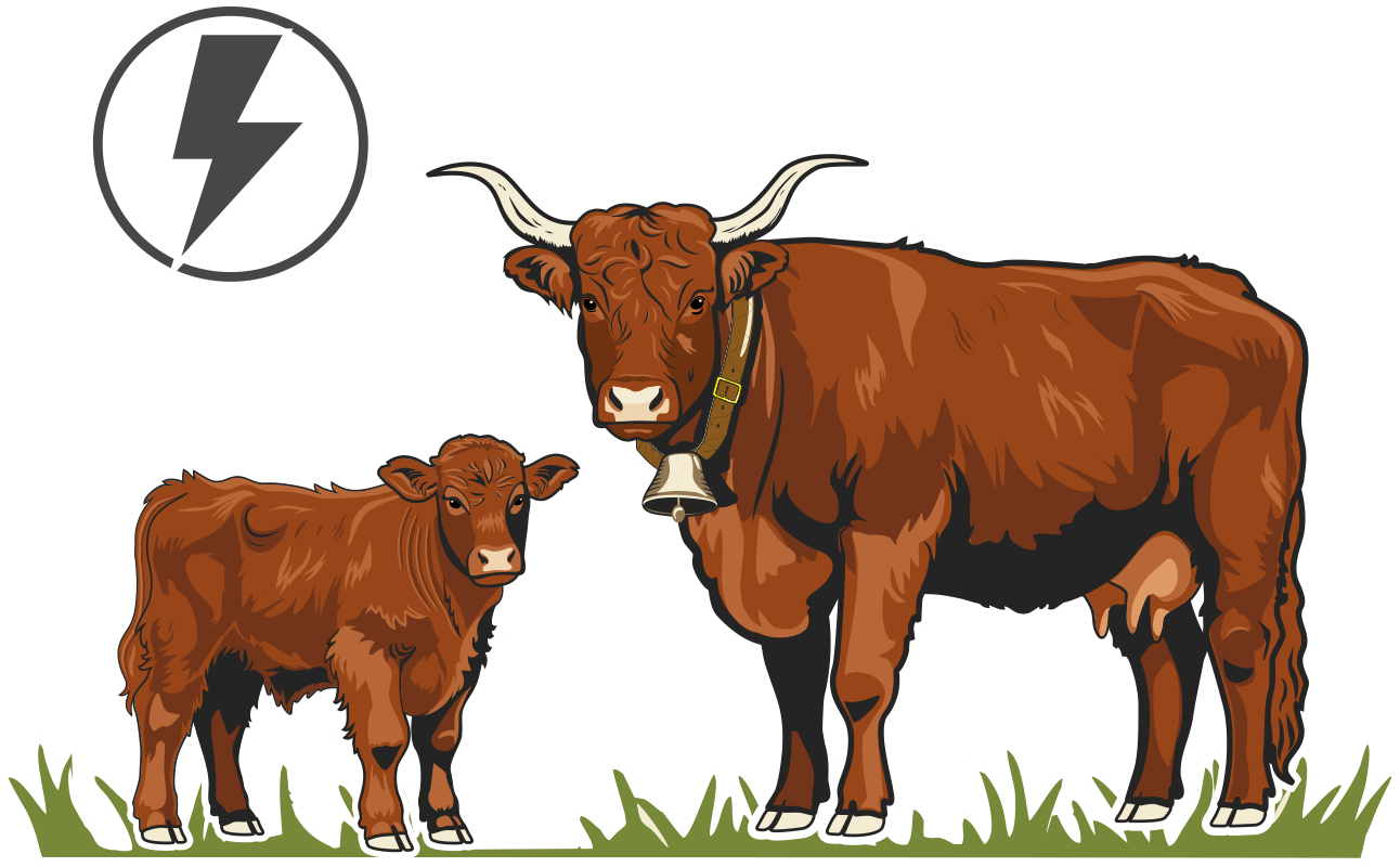 Upravljanje pašnjacima – OPG Tankosić Darko