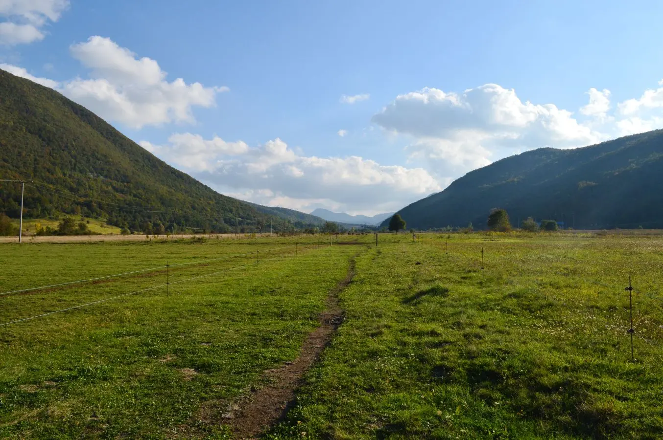 Ispaša – sezonsko premještanje stada
