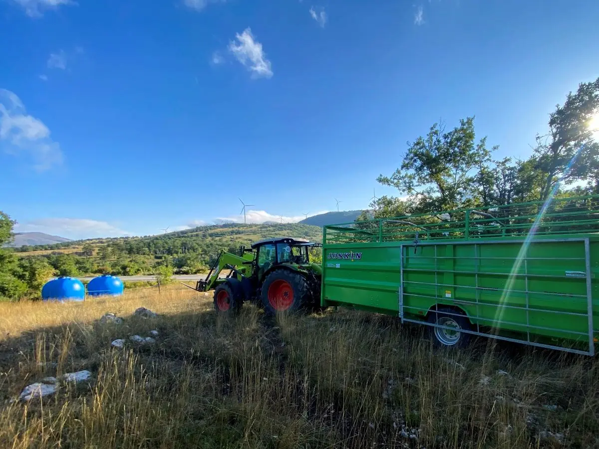 Daleki pašnjaci i logistika